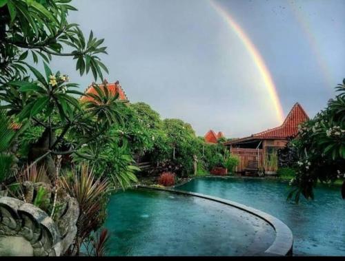Damai - carbon neutral hotel in Canggu