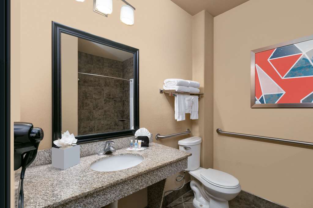 Comfort Suites Arlington Entertainment District - photo 7