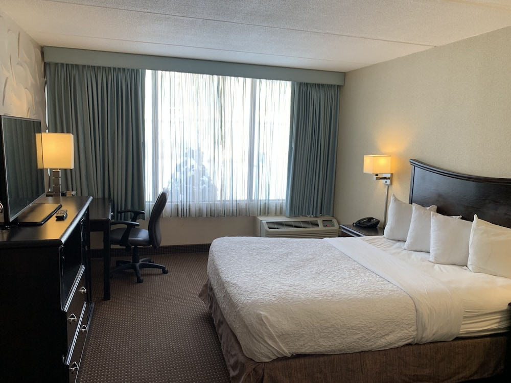 Albany Airport Inn - photo 6