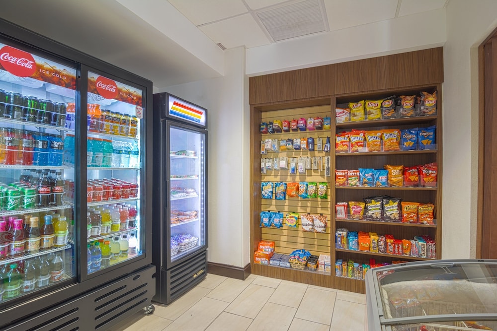 Holiday Inn Express & Suites Tampa USF Busch Gardens by IHG - photo 30