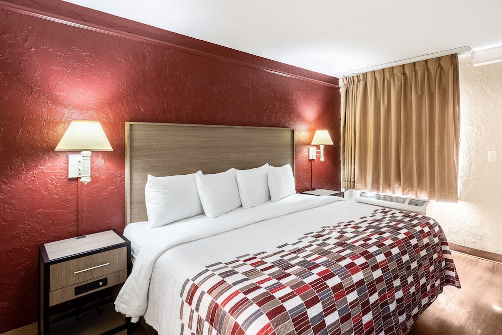 Red Roof Inn Tampa Bay St Petersburg - photo 14