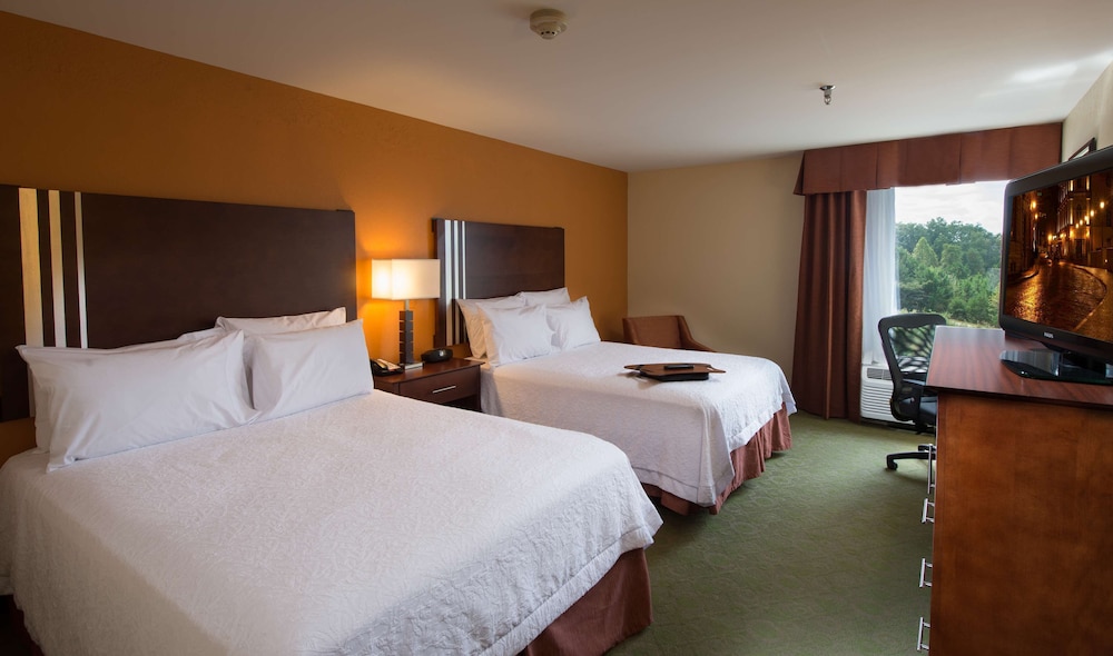 Hampton Inn Cornelia - photo 13