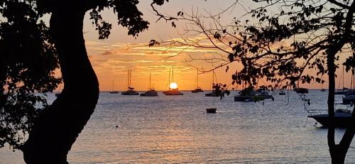 Coastal Chic Escape — 4-Star Luxury Hotel in Grande Riviere Noire, Mauritius