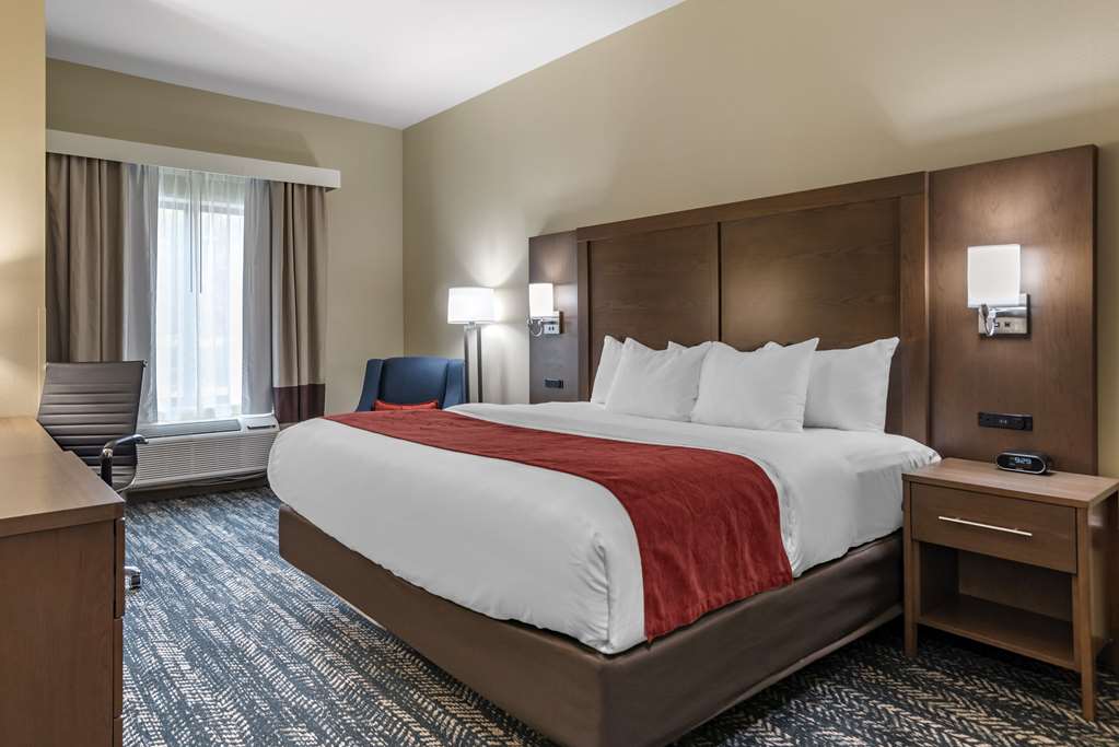 Comfort Inn & Suites Downtown near University - photo 11