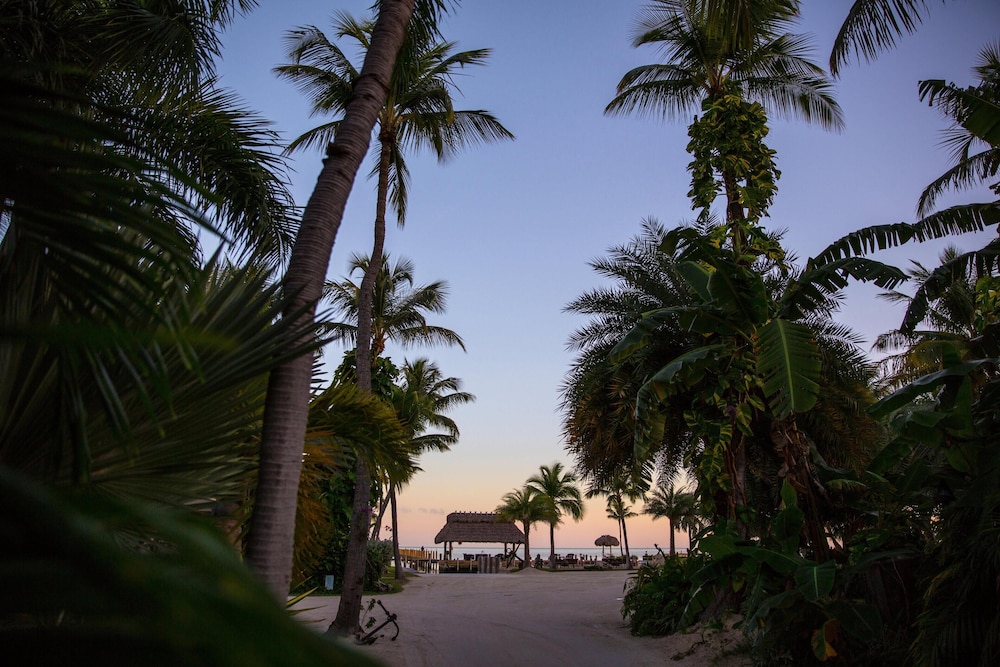 The Caribbean Resort Coconut Palm North - photo 14