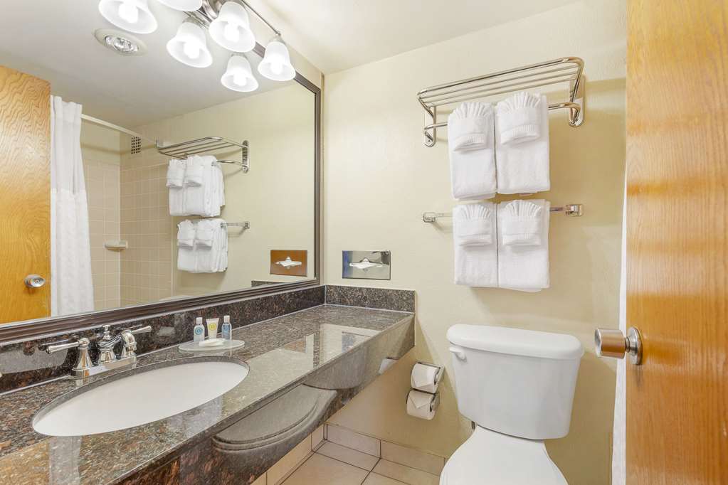 Comfort Inn University Center - photo 23