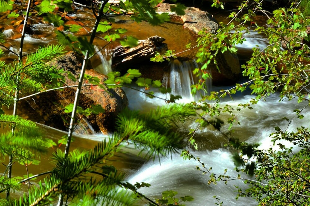 StoneBrook Resort - photo 56