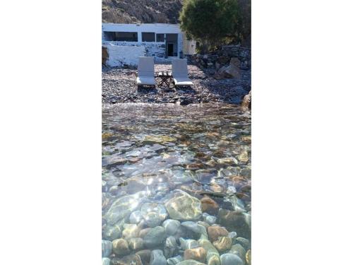 Seagull Syros Seaside in Ermoupolis, Greece