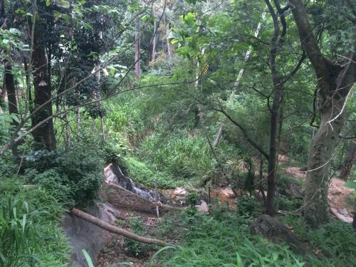 Kandy River Breeze Hotel - carbon neutral hotel in Kandy