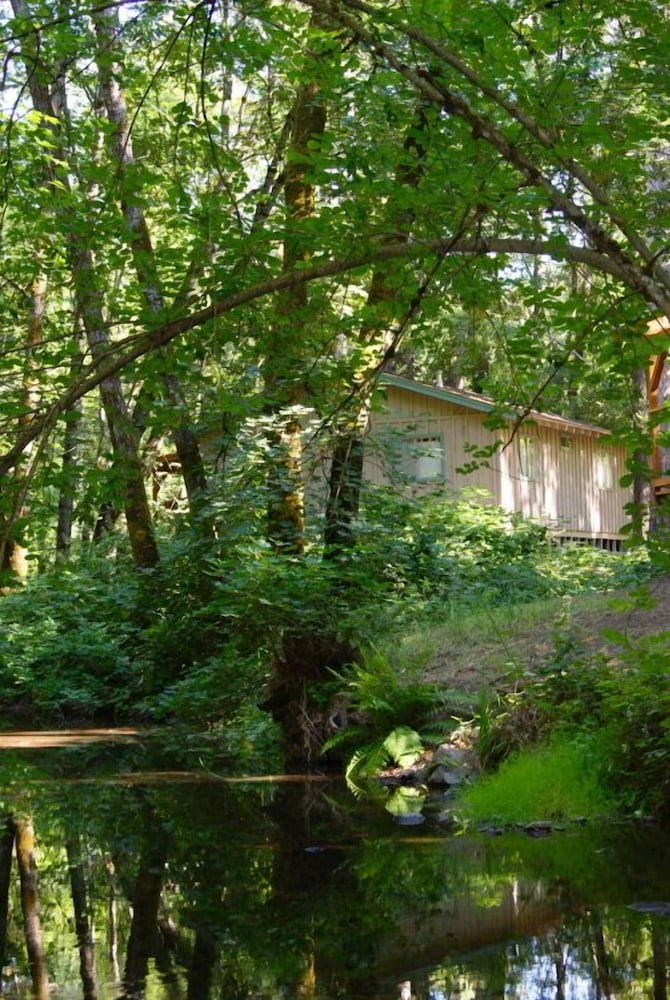 Pine Grove - photo 3