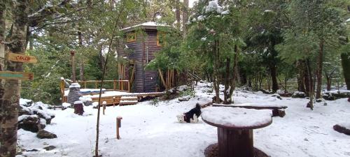 Cabañita del Árbol Cóndor in Unknown City, Chile