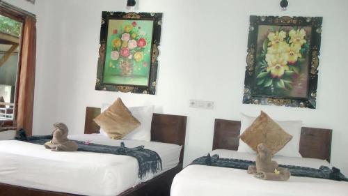 Coral Choice in Gili Trawangan, Indonesia