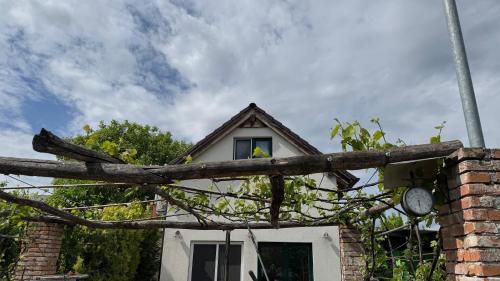 Comfort Garden in Dunajska Streda, Slovakia