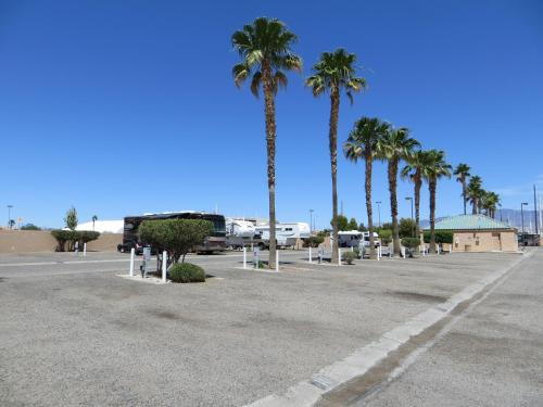 Oasis Resort Casino Golf & Spa - photo 10