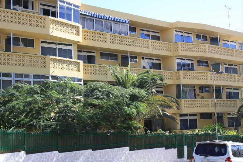 Faisan in Playa Del Ingles, Spain