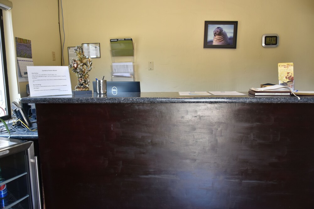 Cambria Palms Motel - photo 2
