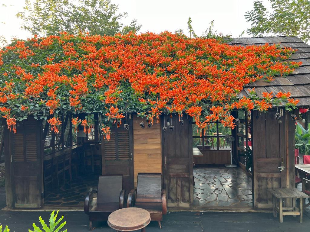 Mộc An Nhiên Farmstay — 4-Star Luxury Hotel in Pleiku, Vietnam