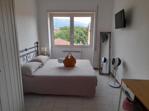 Le Stanze di Polly in Foligno, Italy