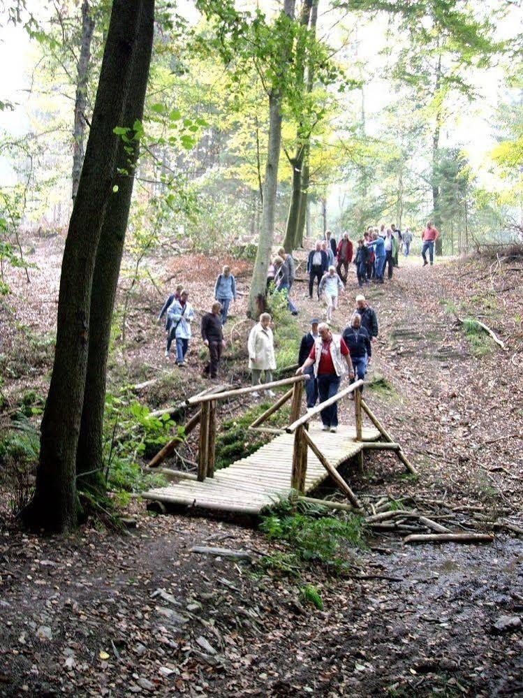 Corsendonk Sol Cress in Spa, Belgium