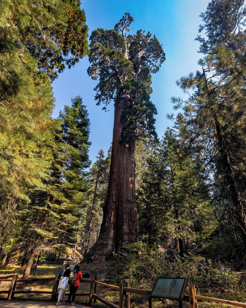 John Muir Lodge - photo 33