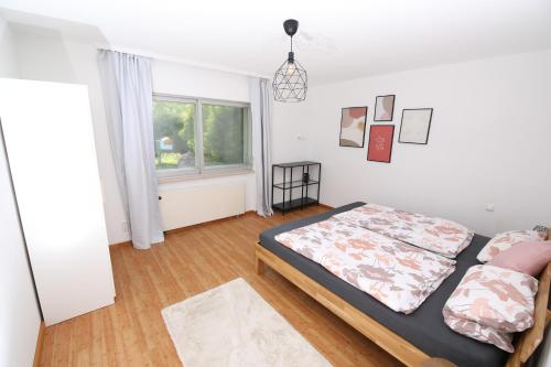 Moderne herzliche und große Ferienwohnung mitten im Naturpark — Grebenhain — photo 3