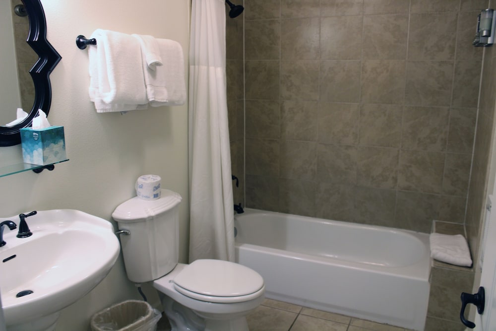 Silverton Inn & Suites - photo 25