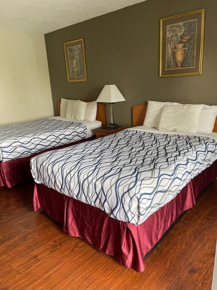 Bear Mount Inn & Suites - photo 5