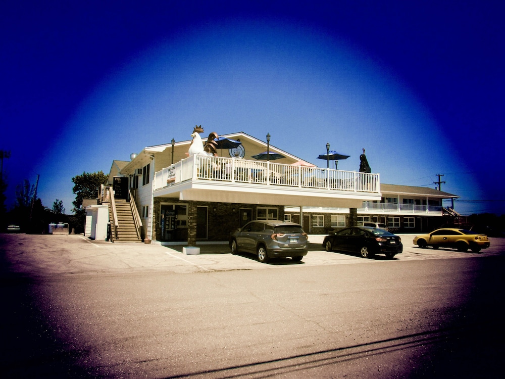 Brewer Motor Inn - photo 17