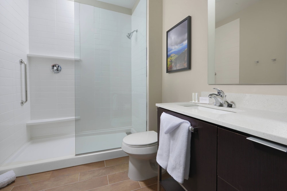 TownePlace Suites by Marriott Denver South Lone Tree - photo 11