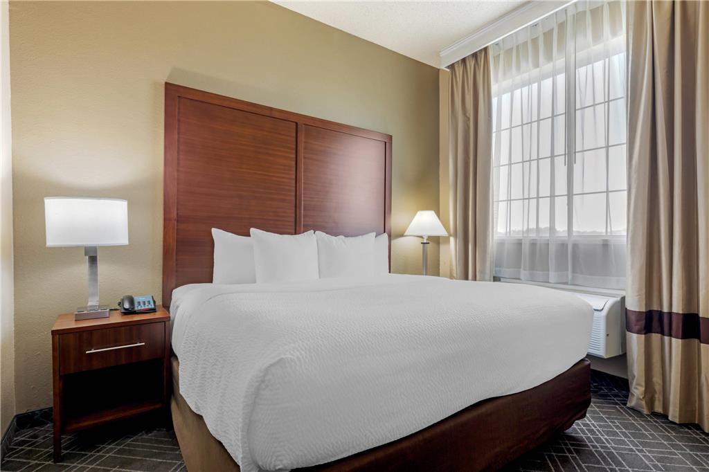 Comfort Suites Waco North Near University Area - photo 15