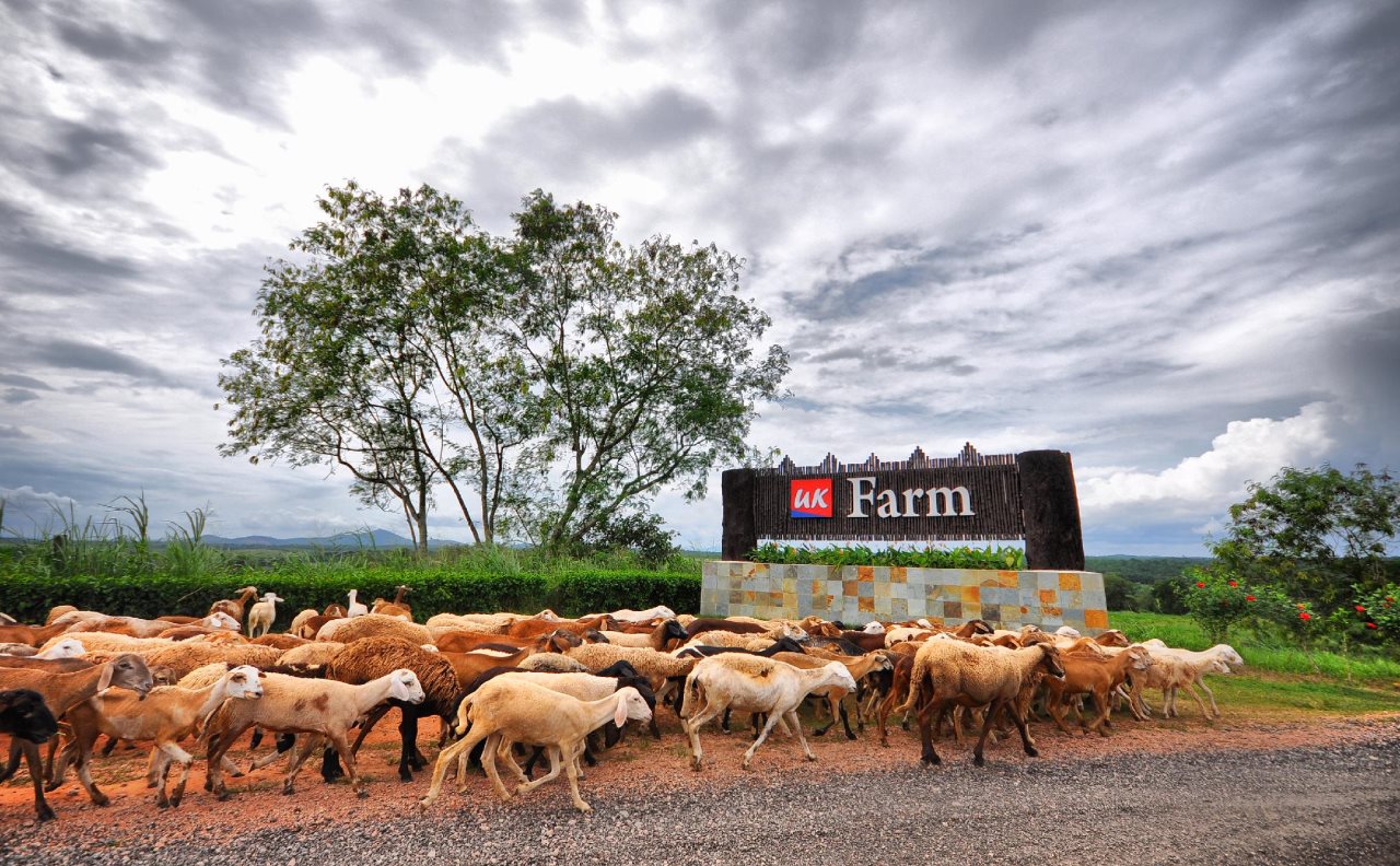 UK Farm Agro Resort - carbon neutral hotel in Johor Bahru