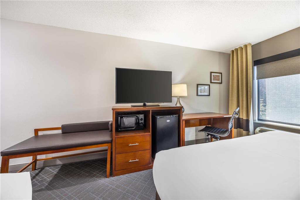 Comfort InnSuites ChattanoogaWest Lookout Mountain - photo 12