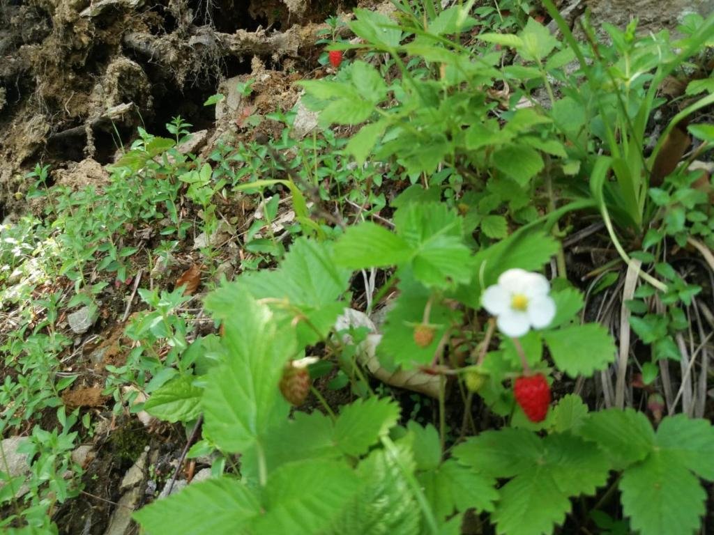 Zbójnicki Ostęp Nocleg Trapera in Stronie Slaskie, Poland