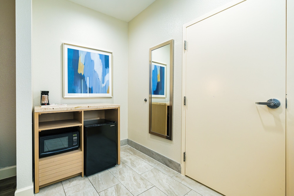 Palace Inn IAH Houston Bush Intercontinental Airport - photo 7