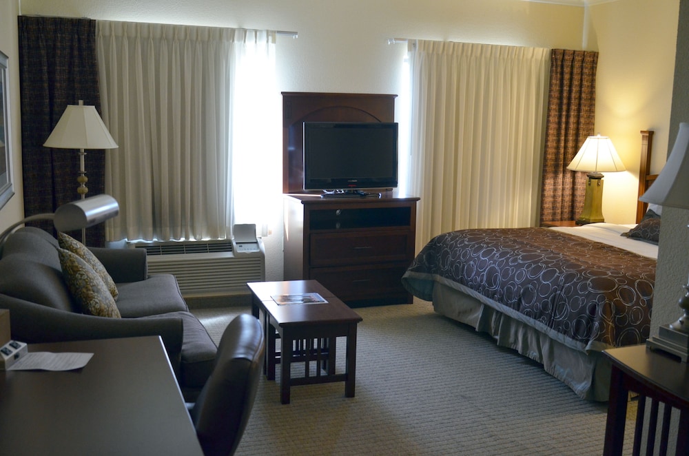 Staybridge Suites San Antonio Sea World by IHG - photo 6