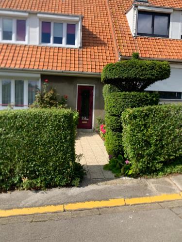 Mirdou62 in Boulogne-Sur-Mer, France