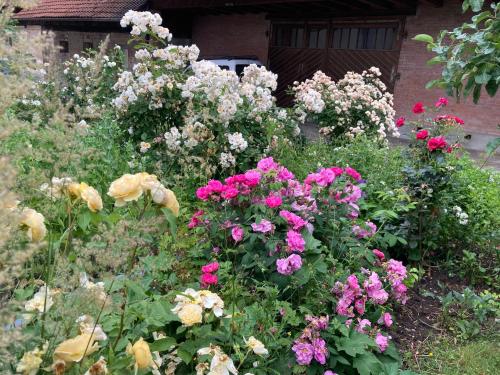B&B Perron13 — Murten/Morat — photo 2
