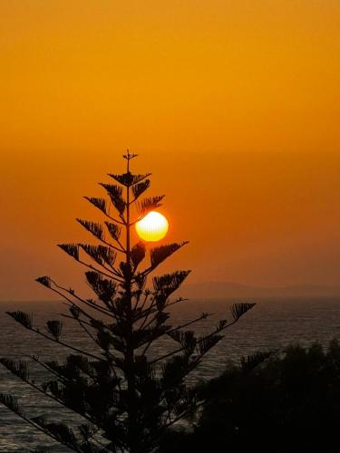 Andreas Studios — 4-Star Luxury Hotel in Antimacheia, Greece