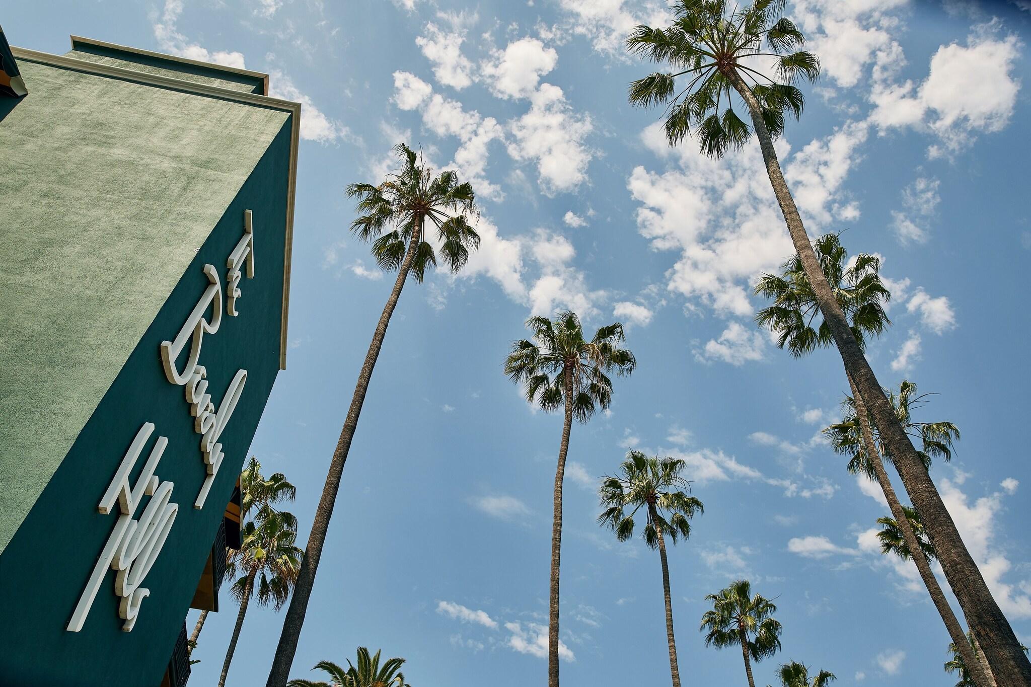 The Beverly Hills Hotel - photo 13