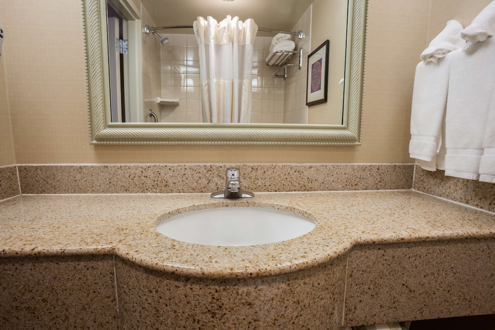 Hilton Garden Inn El Paso University - photo 15