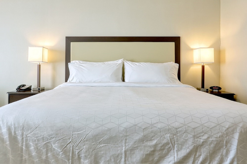Holiday Inn Express Hotel & Suites Batavia Darien Lake by IHG - photo 3