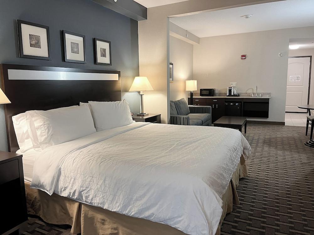 Holiday Inn Express & Suites Morton Peoria Area by IHG - photo 15