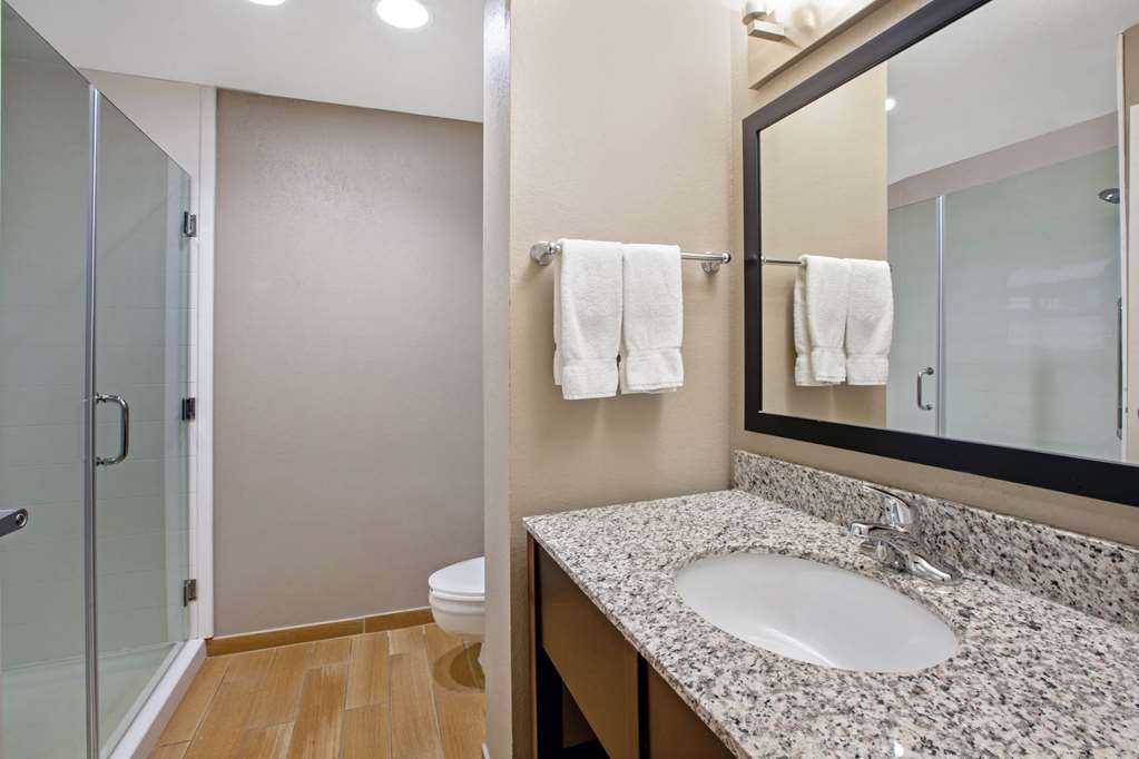 La Quinta Inn & Suites by Wyndham Detroit Metro Airport - photo 15