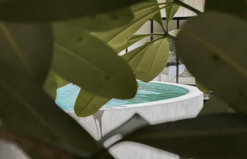 Little Lani Modern Beach Shack in Mission Beach, Australia