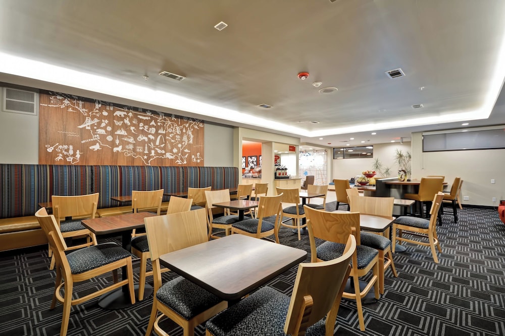 TownePlace Suites by Marriott Dallas Lewisville - photo 28