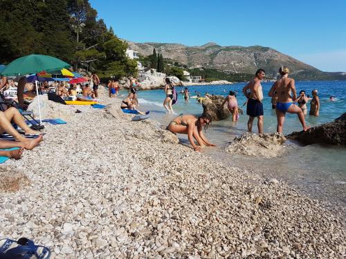 Villa Apartments Mecajac — 4-Star Luxury Hotel in Cavtat, Croatia