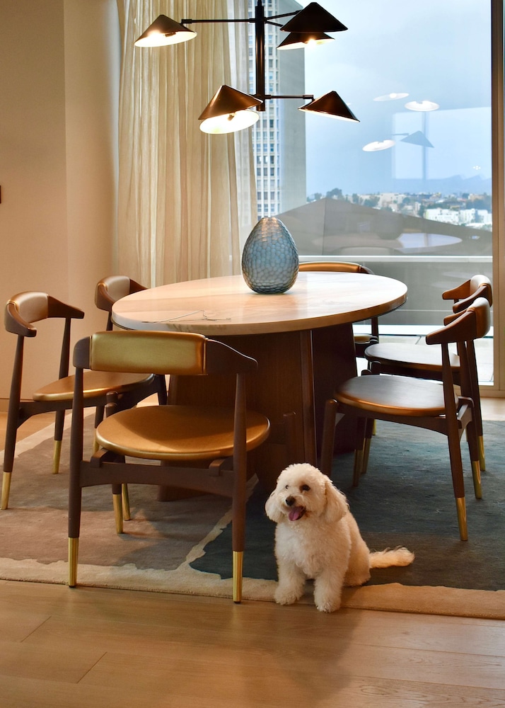 Conrad Los Angeles - photo 110
