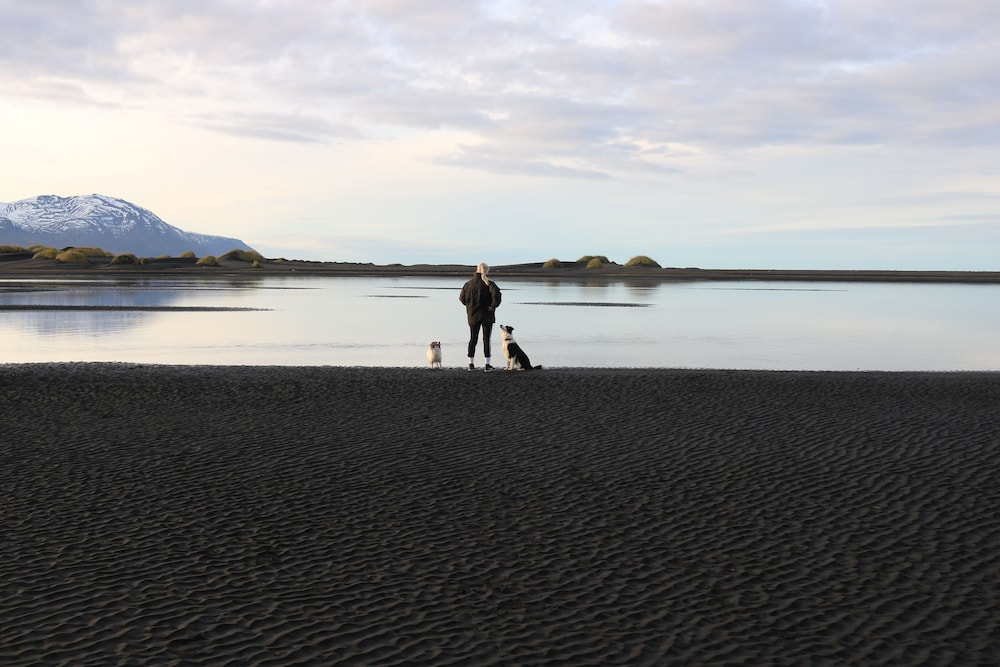 Laxhús Laxamýri in Husavik, Iceland
