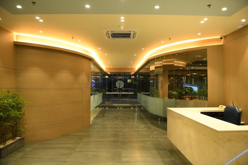Hotel Blueivy Anand — Anand — photo 2