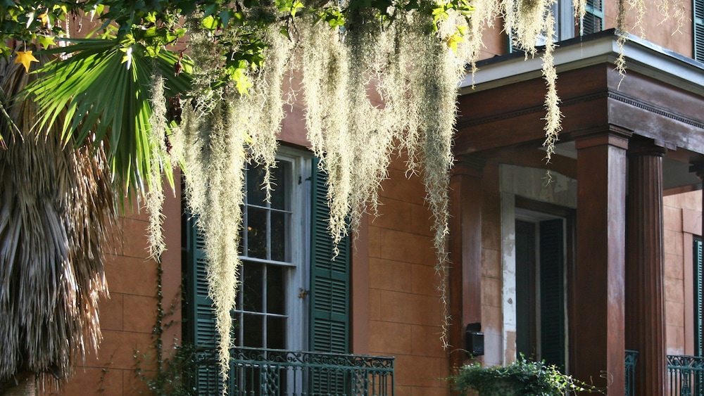 Hotel Indigo Savannah Historic District by IHG - photo 75